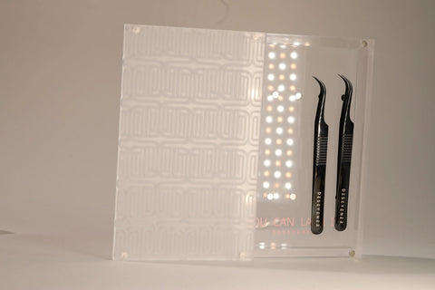 Tweezer case with deseyener mag lid