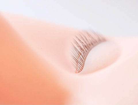 Full face lash mannequin