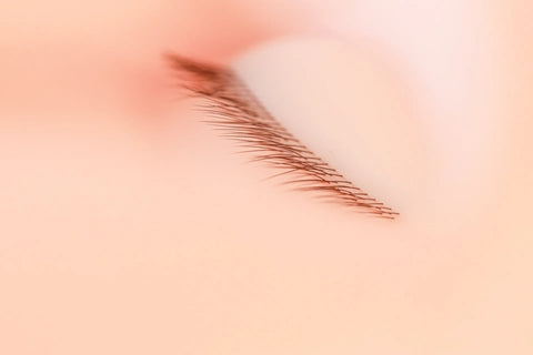 Full face lash mannequin